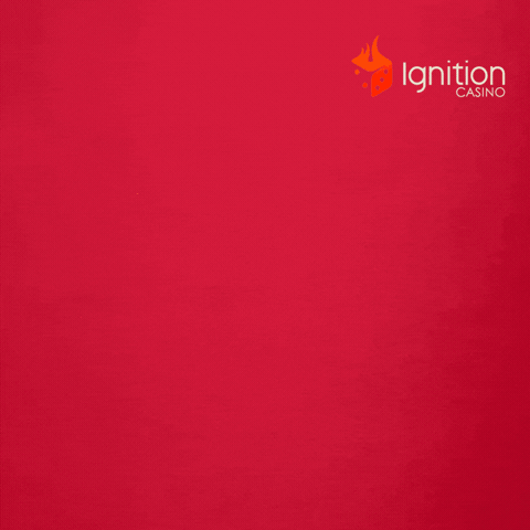 Card Game Win GIF by Ignition Casino