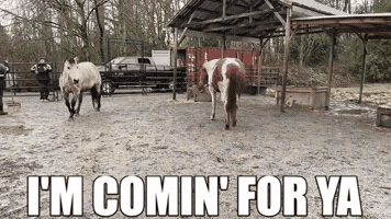 Get Outta Here GIF