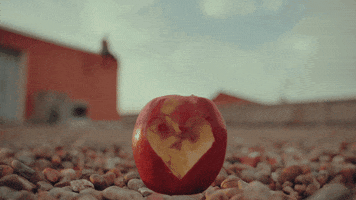 Heart Cooking GIF by Bejo Flow