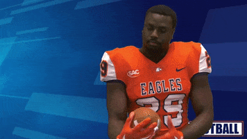 Lion King Baby GIF by Carson-Newman Athletics