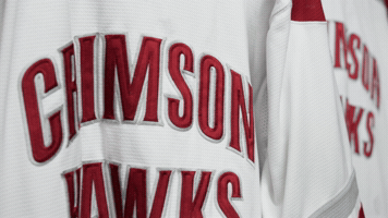 IupHockey GIF