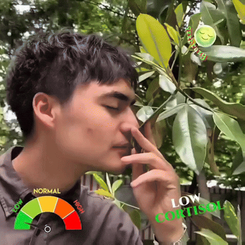Uzbek GIF