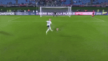Chile Colocolo GIF