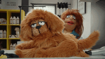 Dog Reaction GIF by Crank Yankers