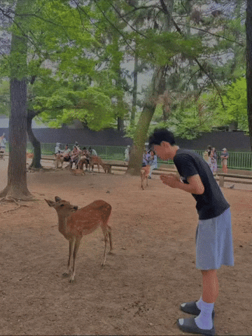 Japan Aura GIF