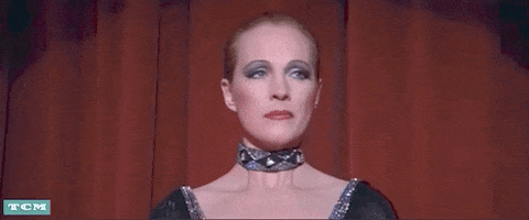 Julie Andrews Staredown GIF by Turner Classic Movies