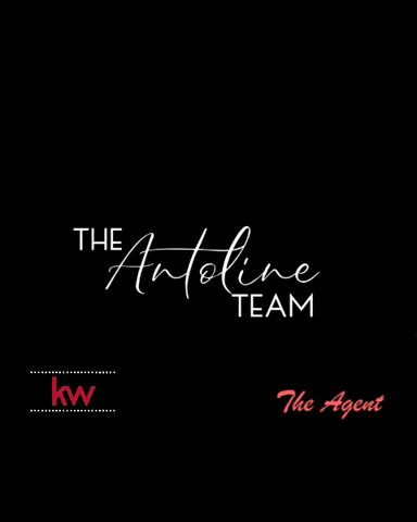 Antoline Team GIF