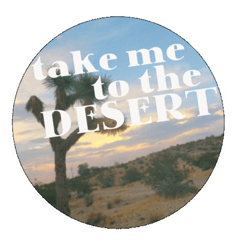 Desert Sticker by The Mojave Room