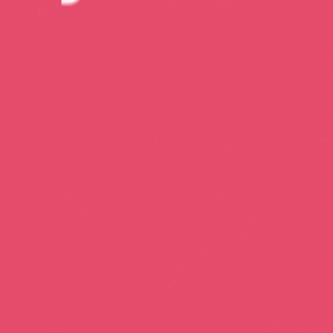 Bear Fruits GIF