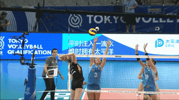 Happy Joy GIF by Volleyball World