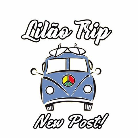 lilaotrip new travel new post post GIF