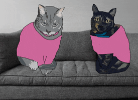 Cat Pink GIF