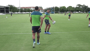 Rugby League Try GIF by Canberra Raiders