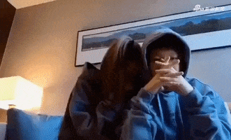 中国 GIF