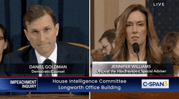 news impeachment impeachment inquiry testimony jennifer williams GIF