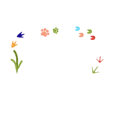 Animated Sticker