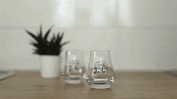 zensations GIF