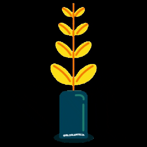 Plants GIF