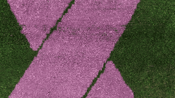 Breast Cancer Pink GIF by Turf Tank