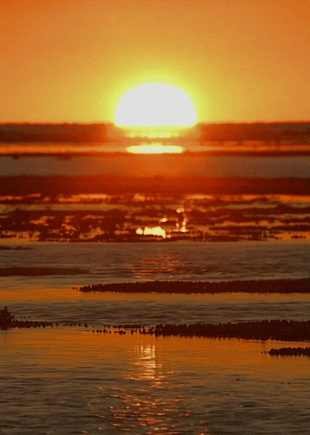 bbc sunset GIF by Head Like an Orange