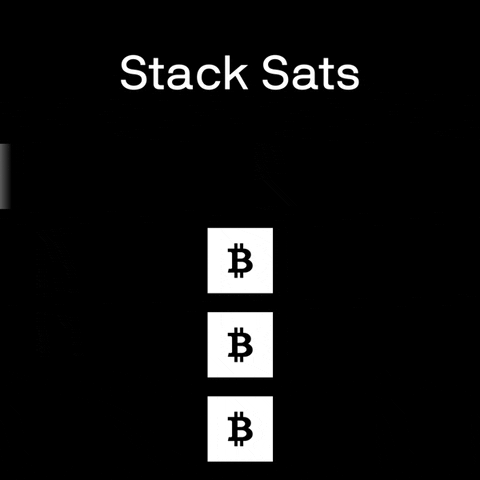 Bitcoin Stack GIF by DanHeld