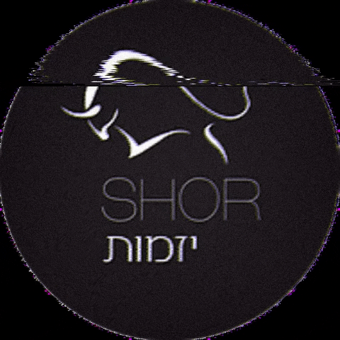 shorinvest GIF