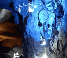 Audiovisual GIF