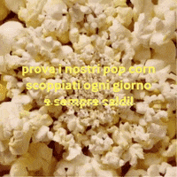 Cinema Popcorn GIF by le Giraffe