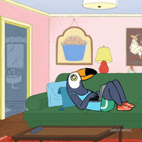 Excited Tuca And Bertie GIF by Adult Swim