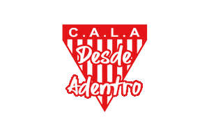 Los Andes Soccer Sticker by Club Atlético Los Andes