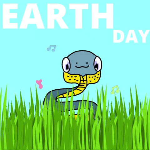 Nft Earth Day GIF by Digital Pratik