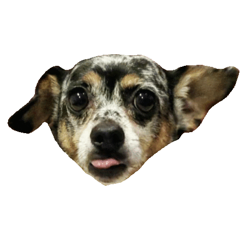 Dog Love Sticker by Gizmo & Friends