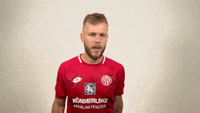 Mainz05-L0rZPF2TsmgKhLwU6X