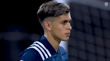 New York City Fc Mls GIF by NYCFC