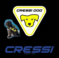 Cane Che Nuota GIF by CRESSI DOG