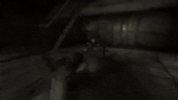 paolovaldivia  GIF