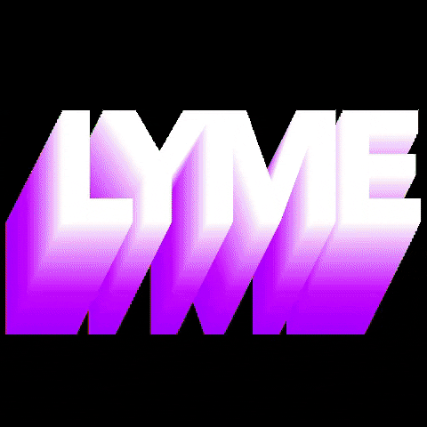 Lyme Studios GIF
