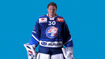 Baltisberger GIF by ZSC Lions