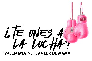 Pink Rosa Sticker by Valentina Brand