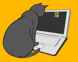 Ignite Black Cat GIF by Microsoft Cloud