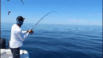 Wherethemapturnsblue GIF by SORD Fishing Products