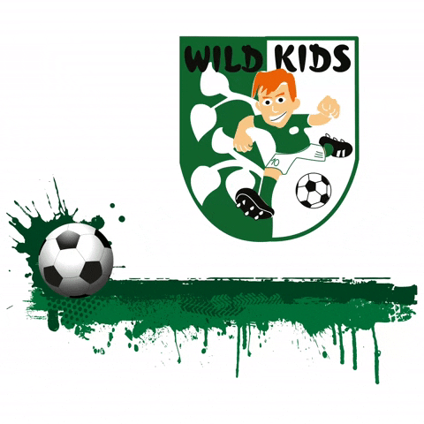 wildkids_fvschutterwald football soccer fussball blackforest GIF