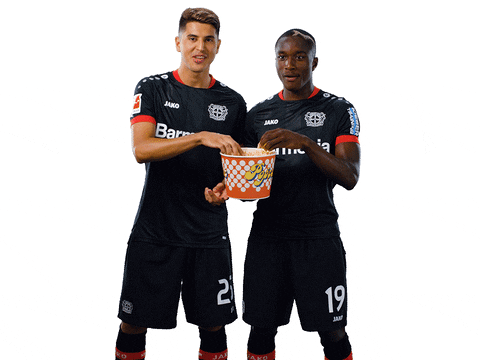 Bayer 04 Popcorn GIF by Bayer 04 Leverkusen - Find & Share on GIPHY