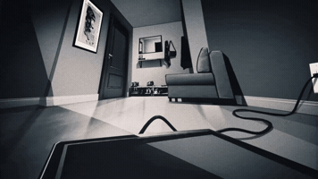 Robert Valley GIF