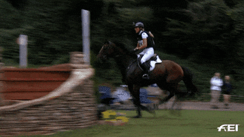 Cross Country Jump GIF by FEI Global