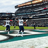 Jumping Seattle Seahawks GIF by NFL