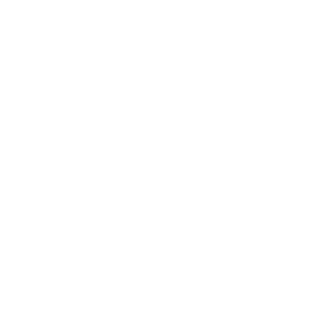 SchoenenZaken Sticker