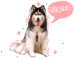 Dog Akira Sticker