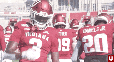 Knock College Football GIF by Indiana Hoosiers