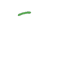 Green Sticker